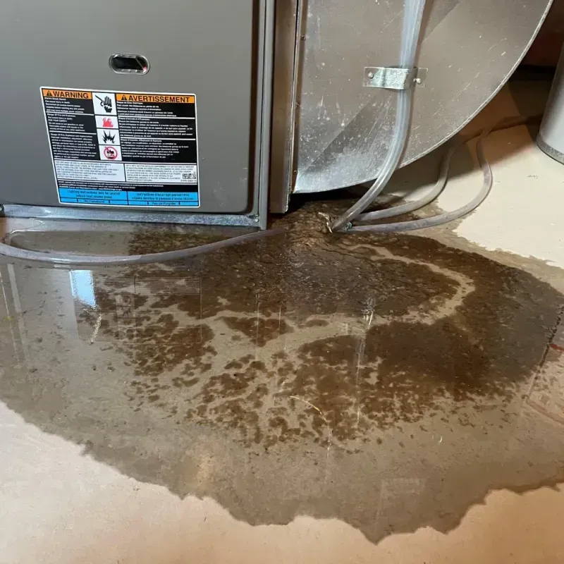 Appliance Leak Cleanup in City of Charlottesville, VA